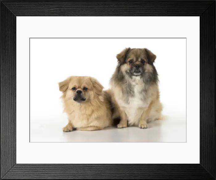 Framed Print : Picture No. 11992801 Framed Print : Picture No. 11992801