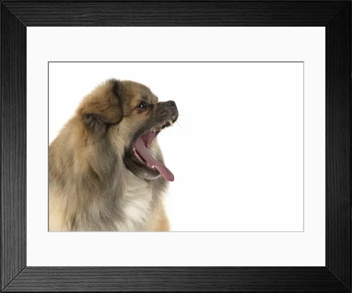 Framed Print : Picture No. 11992805 Framed Print : Picture No. 11992805