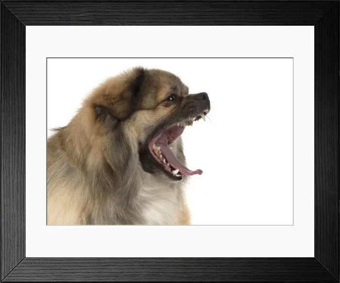 Framed Print : Picture No. 11992806 Framed Print : Picture No. 11992806