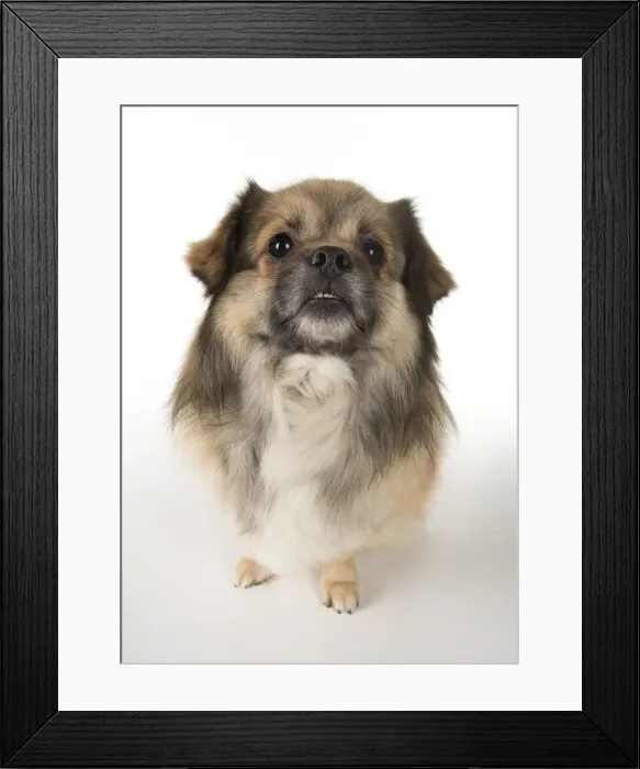 Framed Print : Picture No. 11992808 Framed Print : Picture No. 11992808