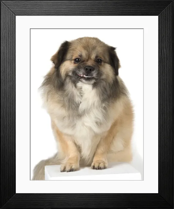 Framed Print : Picture No. 11992809 Framed Print : Picture No. 11992809