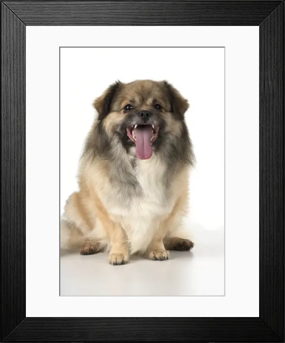 Framed Print : Picture No. 11992811 Framed Print : Picture No. 11992811