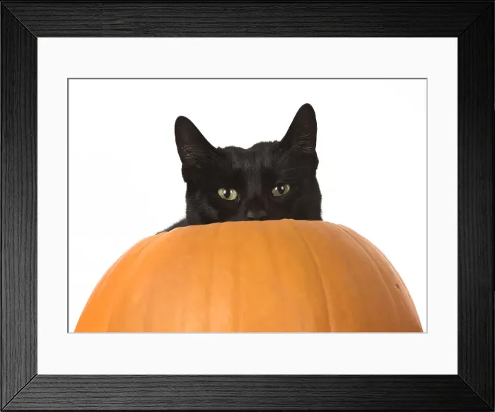 Framed Print : Picture No. 11992815 Framed Print : Picture No. 11992815