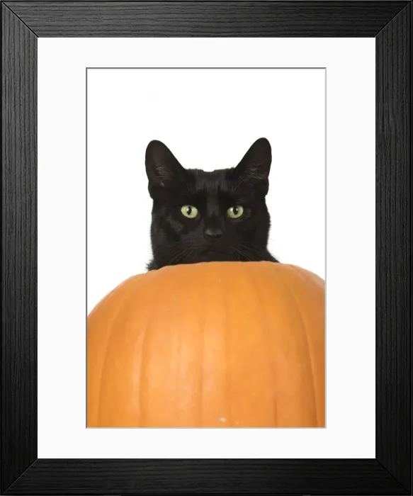 Framed Print : Picture No. 11992818 Framed Print : Picture No. 11992818