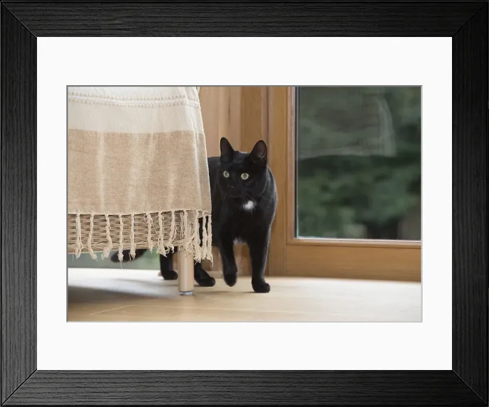 Framed Print : Picture No. 11992820 Framed Print : Picture No. 11992820