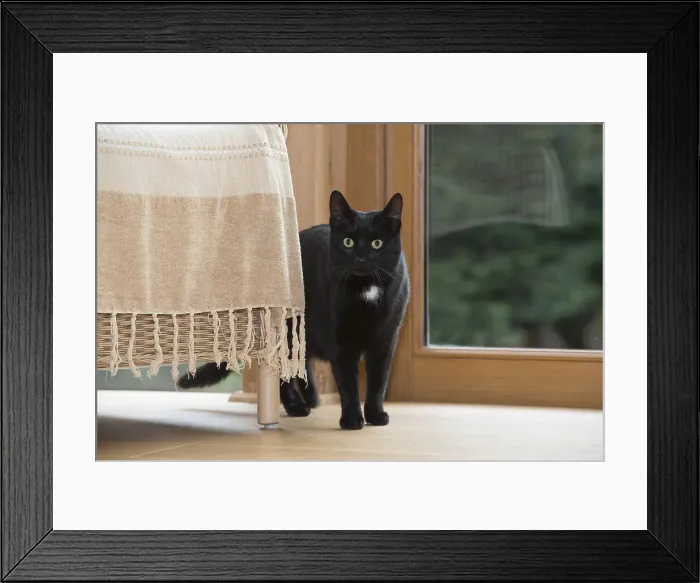 Framed Print : Picture No. 11992821 Framed Print : Picture No. 11992821