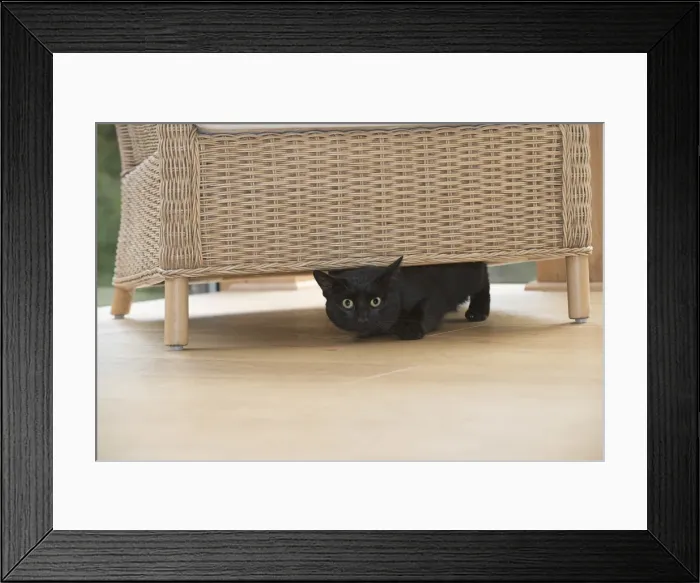 Framed Print : Picture No. 11992822 Framed Print : Picture No. 11992822