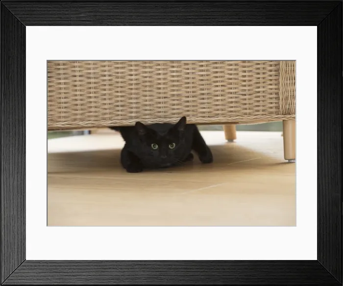 Framed Print : Picture No. 11992823 Framed Print : Picture No. 11992823