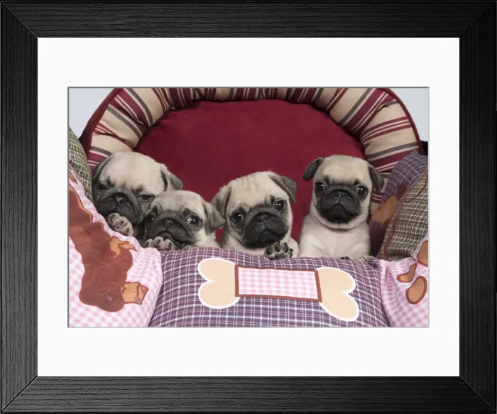 Framed Print : Picture No. 11992830 Framed Print : Picture No. 11992830