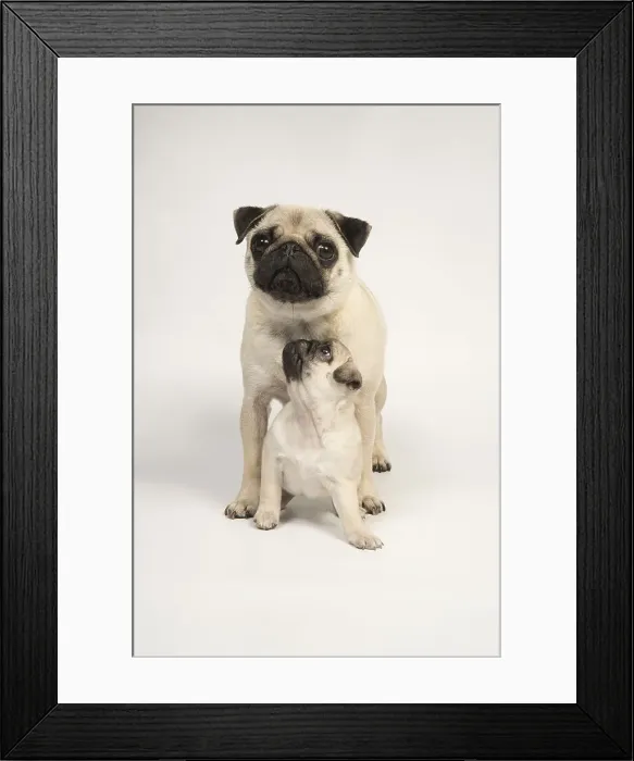 Framed Print : Picture No. 11992840 Framed Print : Picture No. 11992840