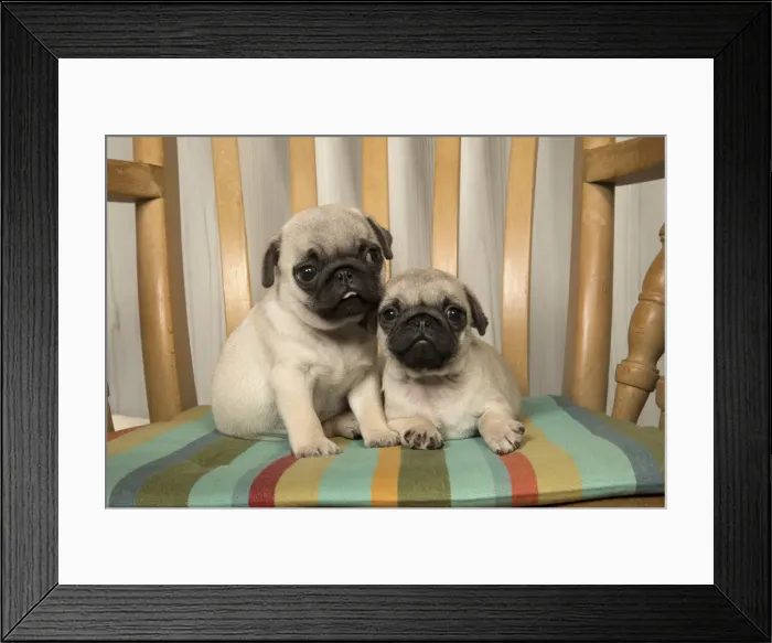 Framed Print : Picture No. 11992844 Framed Print : Picture No. 11992844
