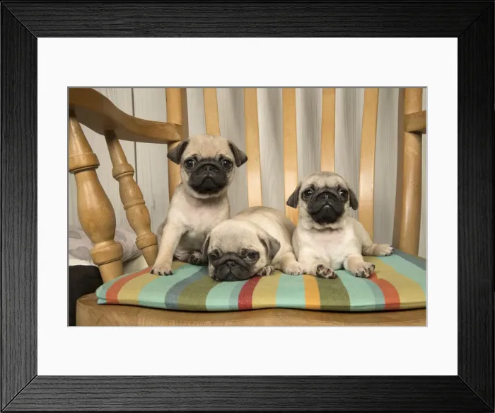 Framed Print : Picture No. 11992845 Framed Print : Picture No. 11992845