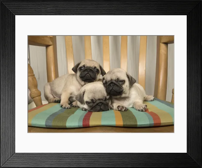 Framed Print : Picture No. 11992847 Framed Print : Picture No. 11992847