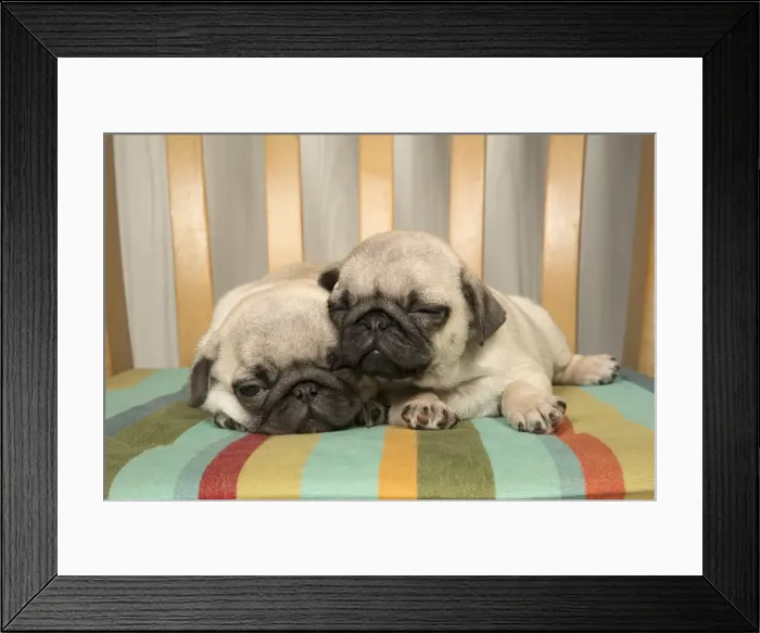 Framed Print : Picture No. 11992848 Framed Print : Picture No. 11992848