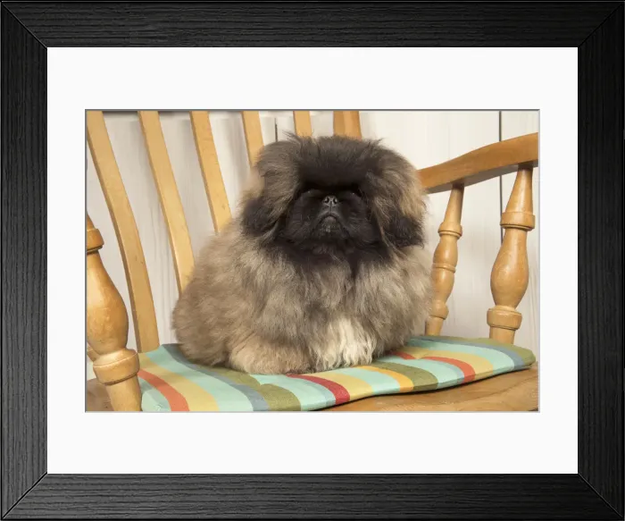 Framed Print : Picture No. 11992849 Framed Print : Picture No. 11992849
