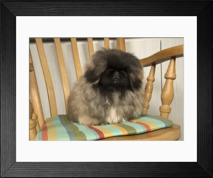 Framed Print : Picture No. 11992850 Framed Print : Picture No. 11992850