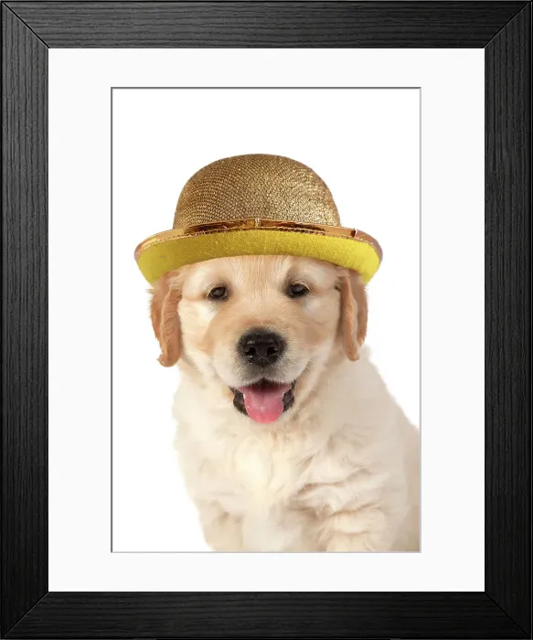 Framed Print : Picture No. 11992858 Framed Print : Picture No. 11992858