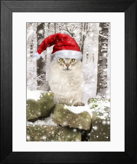 Framed Print : Picture No. 11992860 Framed Print : Picture No. 11992860