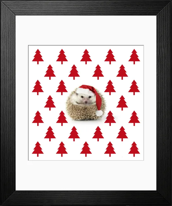 Framed Print : Picture No. 11992862 Framed Print : Picture No. 11992862