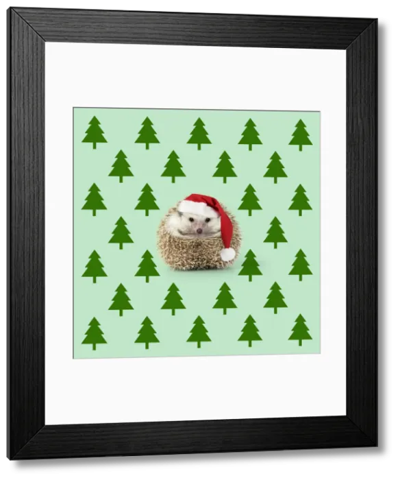 Framed Print : Picture No. 11992863 Framed Print : Picture No. 11992863