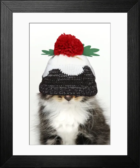 Framed Print : Picture No. 11992861 Framed Print : Picture No. 11992861