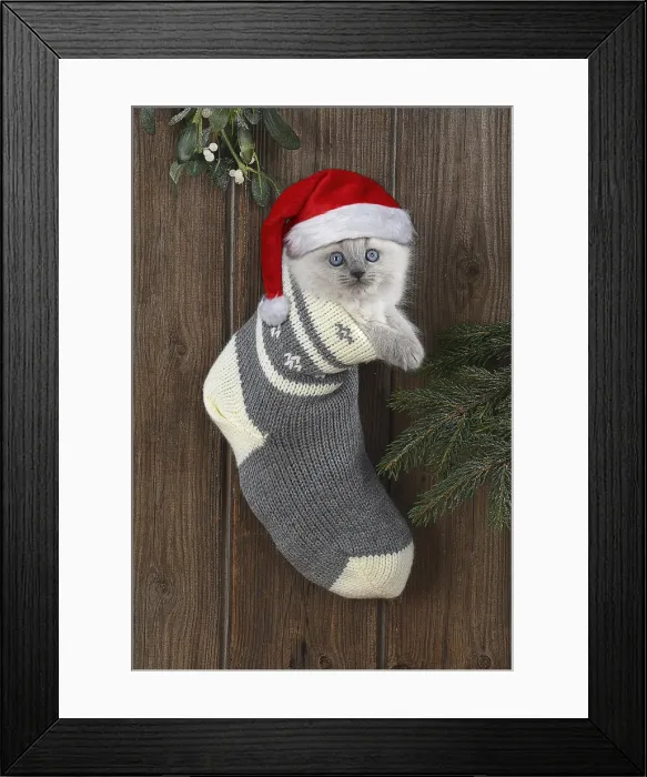 Framed Print : Picture No. 11992864 Framed Print : Picture No. 11992864