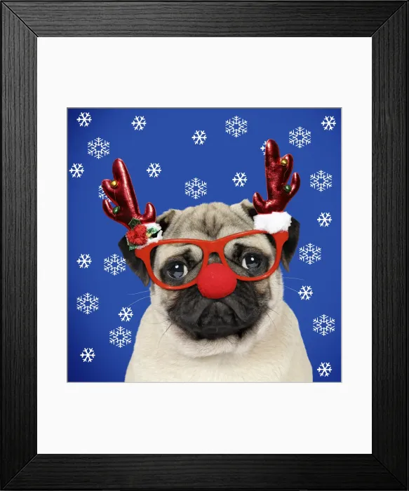 Framed Print : Picture No. 11992869 Framed Print : Picture No. 11992869