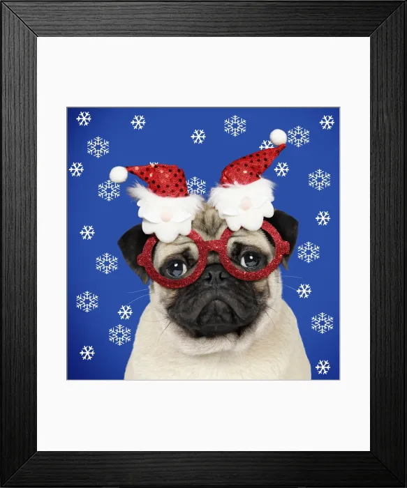 Framed Print : Picture No. 11992870 Framed Print : Picture No. 11992870