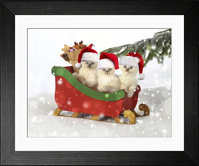 Framed Print : Picture No. 11992868 Framed Print : Picture No. 11992868