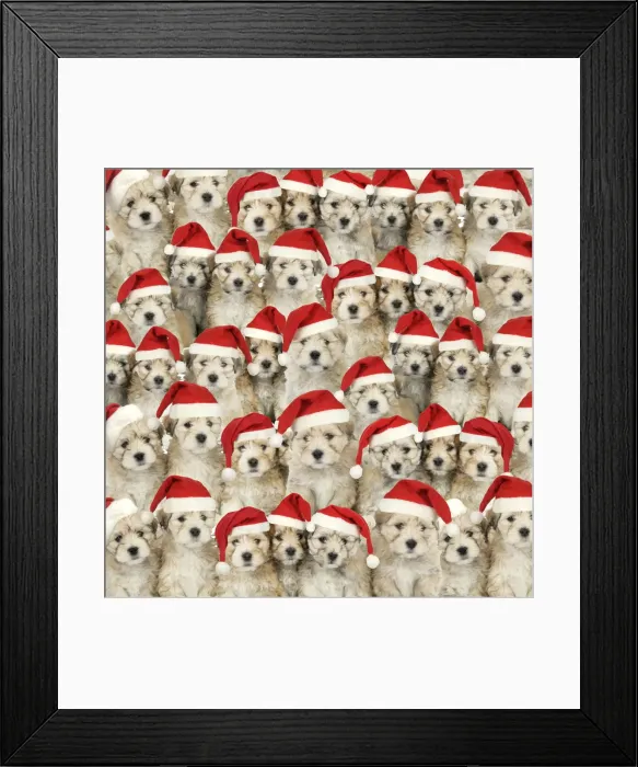 Framed Print : Picture No. 11992877 Framed Print : Picture No. 11992877