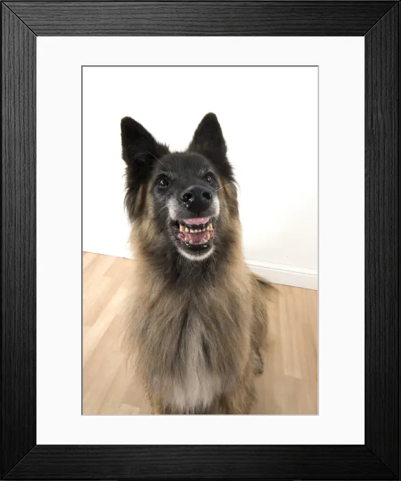 Framed Print : Picture No. 11993073 Framed Print : Picture No. 11993073
