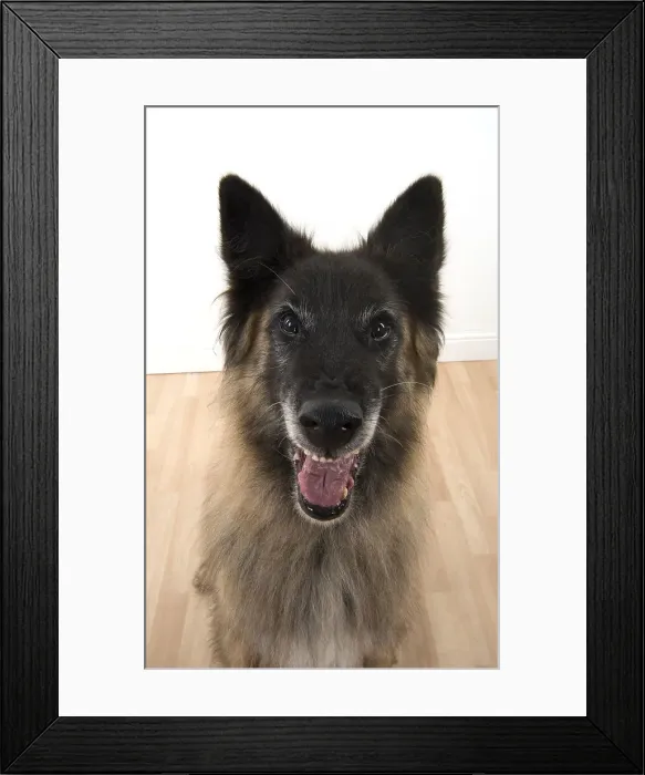 Framed Print : Picture No. 11993074 Framed Print : Picture No. 11993074