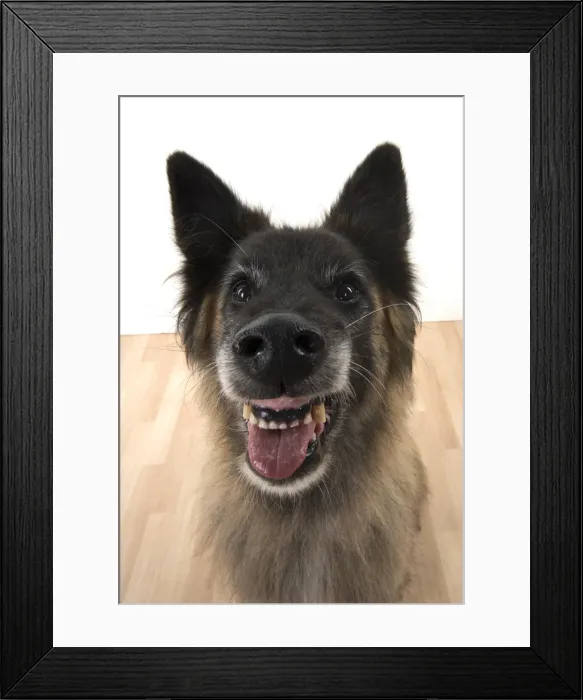 Framed Print : Picture No. 11993075 Framed Print : Picture No. 11993075