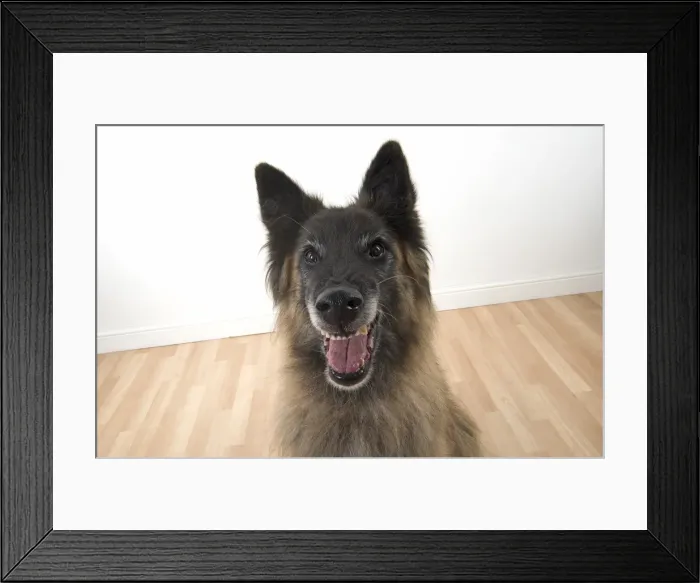 Framed Print : Picture No. 11993076 Framed Print : Picture No. 11993076