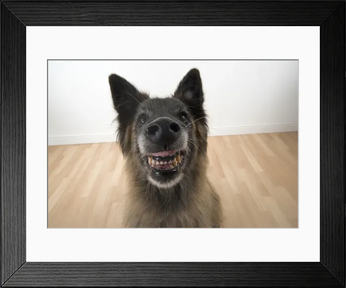 Framed Print : Picture No. 11993077 Framed Print : Picture No. 11993077