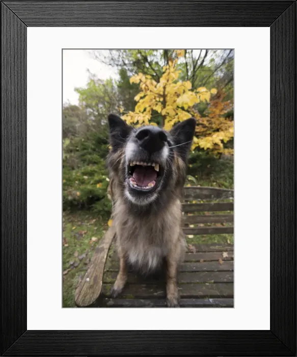 Framed Print : Picture No. 11993078 Framed Print : Picture No. 11993078