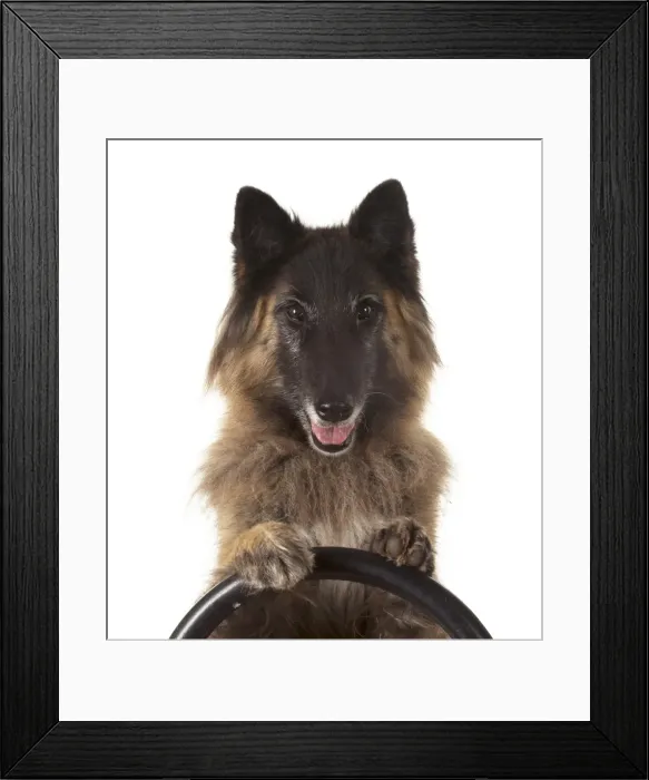 Framed Print : Picture No. 11993085 Framed Print : Picture No. 11993085