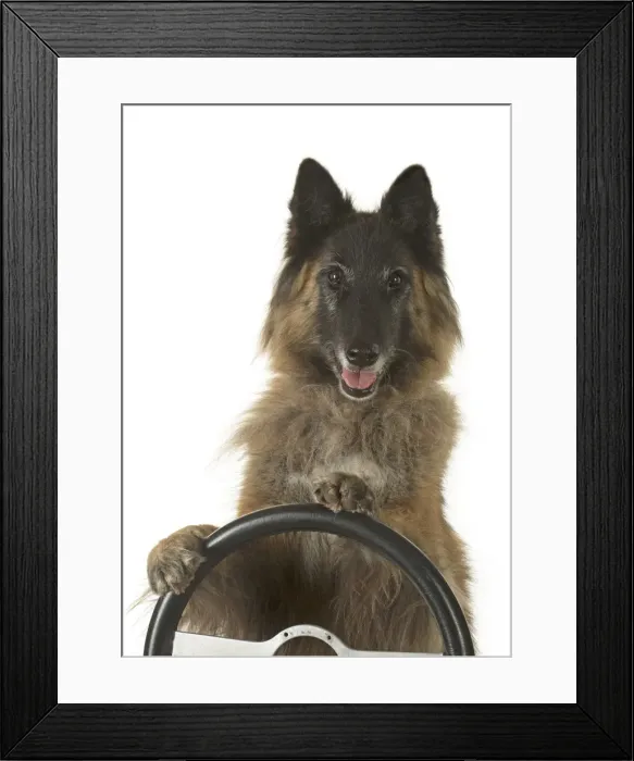 Framed Print : Picture No. 11993086 Framed Print : Picture No. 11993086