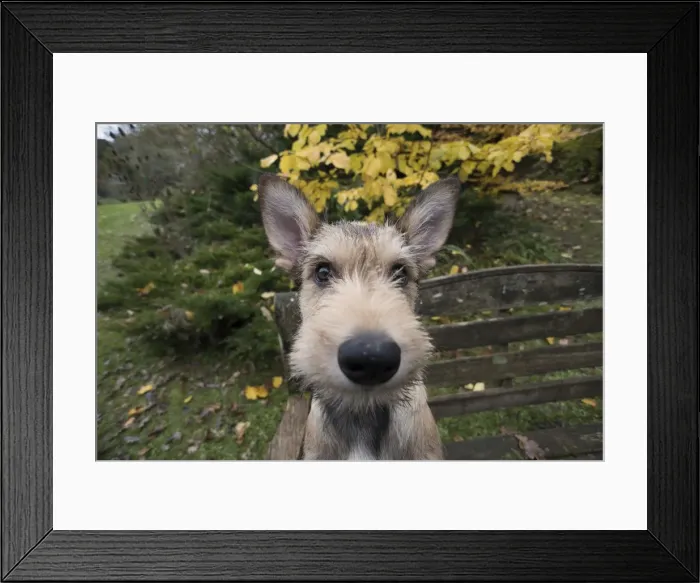 Framed Print : Picture No. 11993089 Framed Print : Picture No. 11993089