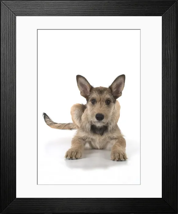 Framed Print : Picture No. 11993100 Framed Print : Picture No. 11993100