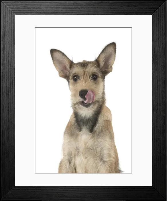 Framed Print : Picture No. 11993107 Framed Print : Picture No. 11993107