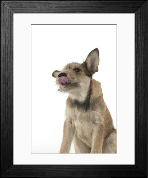 Framed Print : Picture No. 11993108 Framed Print : Picture No. 11993108