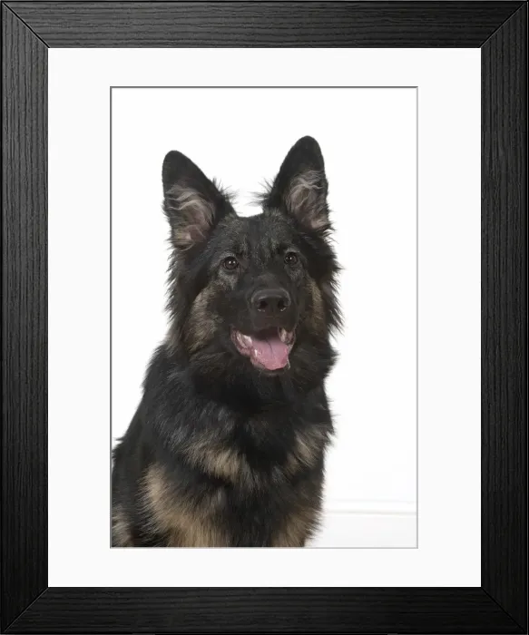 Framed Print : Picture No. 11993109 Framed Print : Picture No. 11993109