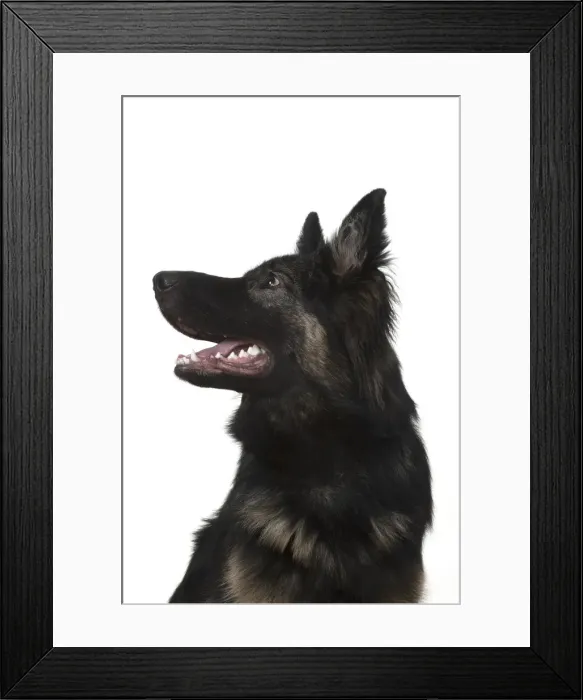 Framed Print : Picture No. 11993110 Framed Print : Picture No. 11993110
