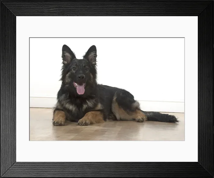 Framed Print : Picture No. 11993111 Framed Print : Picture No. 11993111