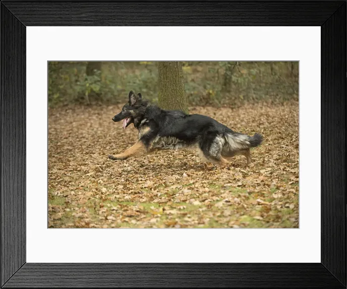 Framed Print : Picture No. 11993116 Framed Print : Picture No. 11993116