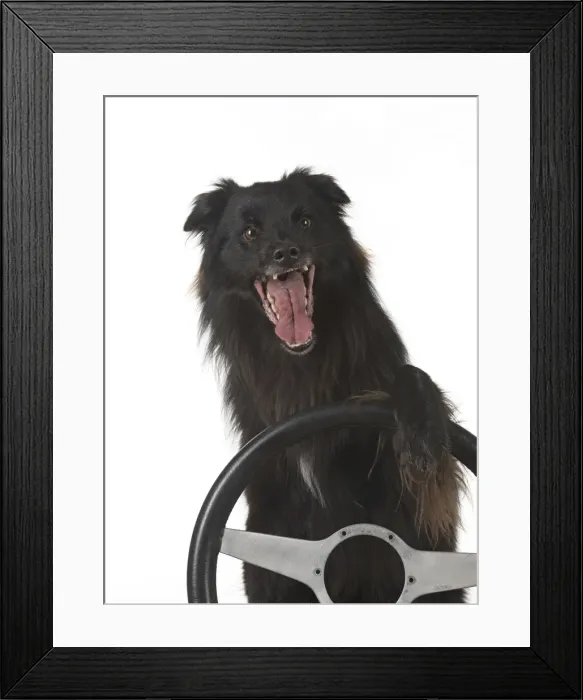 Framed Print : Picture No. 11993117 Framed Print : Picture No. 11993117