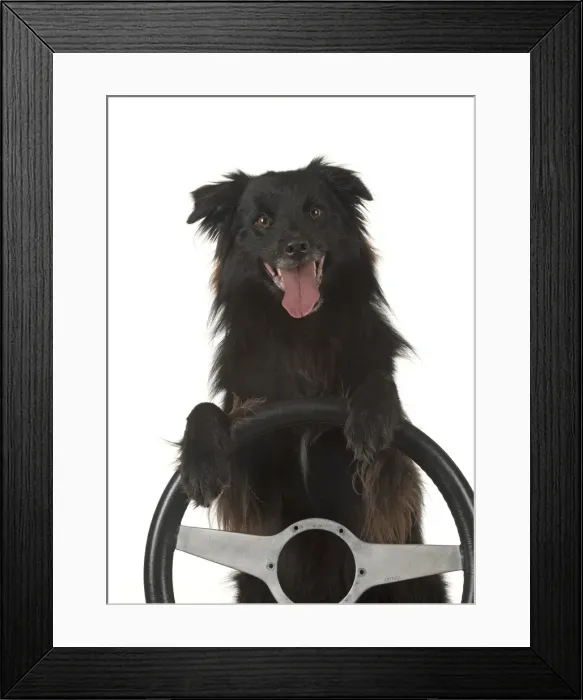 Framed Print : Picture No. 11993118 Framed Print : Picture No. 11993118