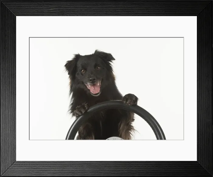 Framed Print : Picture No. 11993119 Framed Print : Picture No. 11993119