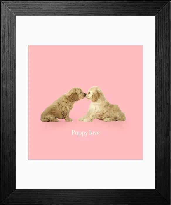 Framed Print : Picture No. 11993297 Framed Print : Picture No. 11993297